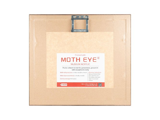Moth Eye Museum Acrylic Merchandiser