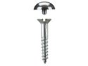Mirror Screws Dome 25mm x 4.2mm pack 20
