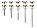 Mirror Screws Dome 38mm x 4.2mm pack 50