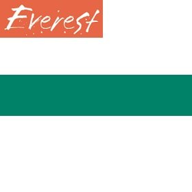Everest Frame Paint Green 100ml