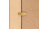 Turn Button Frame Fastener 24mm Brass 200 pack