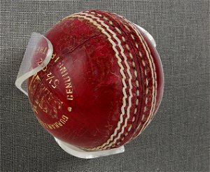 Cricket Ball & Baseball Mounting Clip Kit
