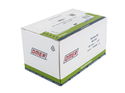 Omer 80 Series Staples 8mm 10,000 box