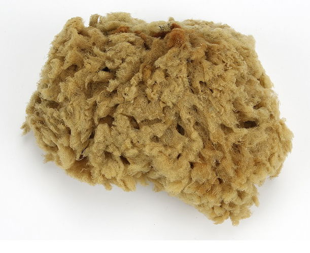 Natural Sponge 45mm