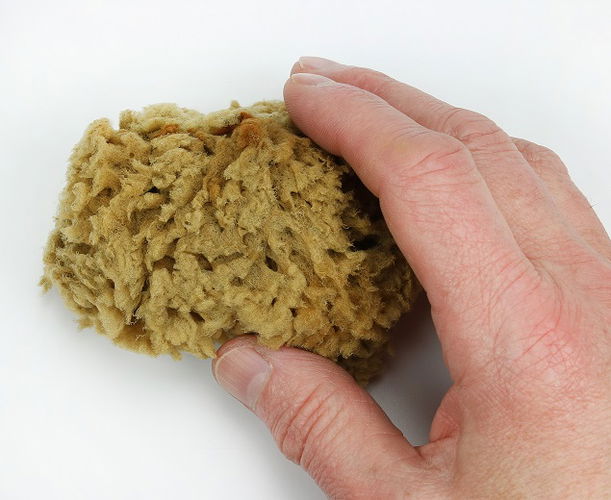 Natural Sponge 45mm