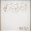 Liquid Metal Metallic Paint Silver 30ml