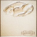 Liquid Metal Metallic Paint Platinum 30ml