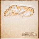 Liquid Metal Metallic Paint Fine Gold 250ml