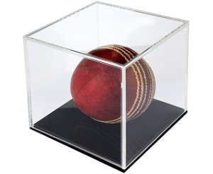 Cricket Ball Display Case