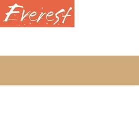 Everest Frame Paint Dark Sand 200ml