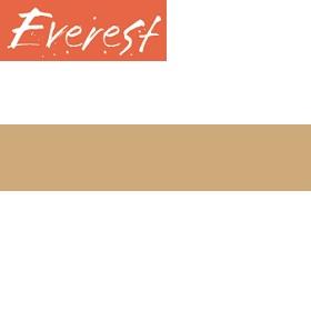 Everest Frame Paint Dark Sand 200ml   