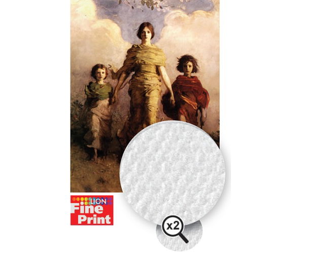 FP GLOSS POLYCOTTON Printer Canvas 390gsm 914mm x 15m roll