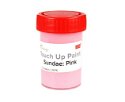Sundae Touch up Paint Pink 60ml