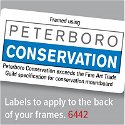 Peterboro Conservation Peregrine Mountboard 1 sheet
