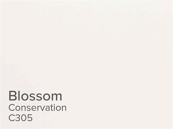 ColourMount Blossom 1.4mm Conservation Mountboard 1 sheet