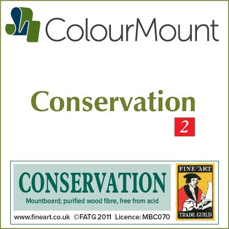 Colourmount Conservation White Core Silver Birch Ingres Mountboard 1 sheet