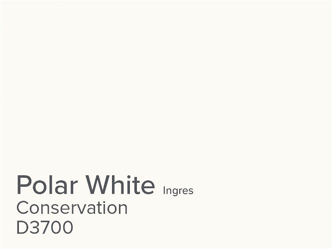 Daler Polar White 1.4mm Conservation Ingres Mountboard 1 sheet