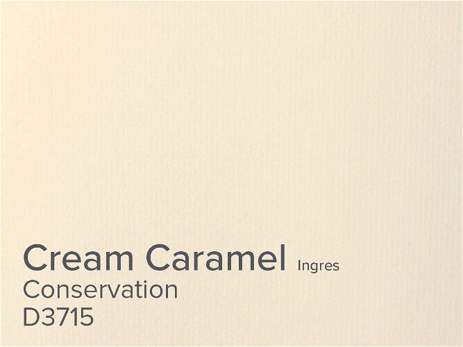 Daler Cream Caramel 1.4mm Conservation Ingres Mountboard 1 sheet