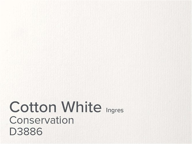 Daler Cotton White 1.4mm Conservation Ingres Mountboard 1 sheet