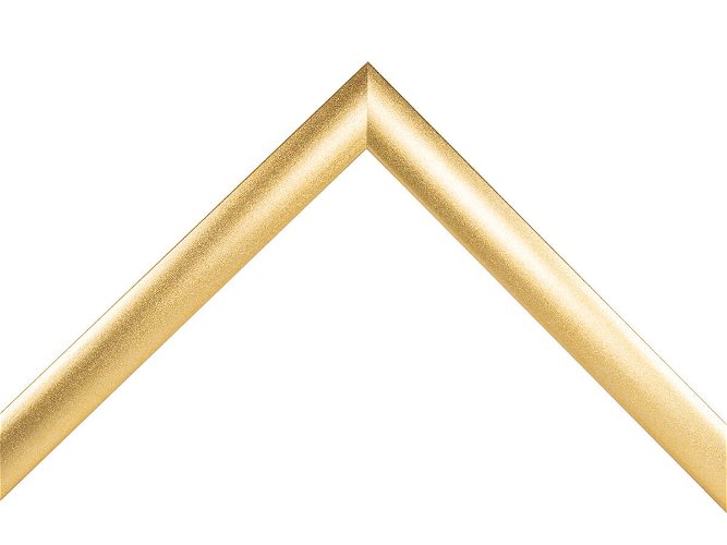 23mm 'Cosmos' Textured Gold Frame Moulding