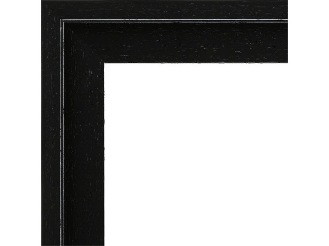 12mm-revival-l-style-white-42mm-rebate-frame-moulding-lion-picture