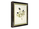 30mm 'Torino' Smoke & Gold Frame Moulding