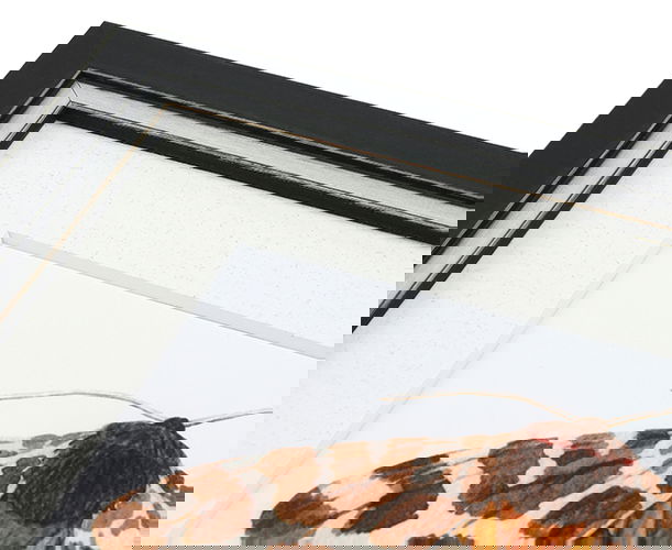 20mm 'Juno' Charcoal Frame Moulding