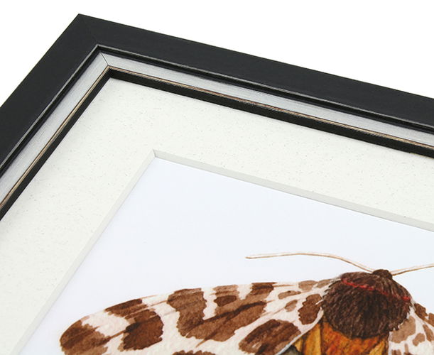 20mm 'Juno' Charcoal Frame Moulding