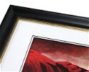 41mm 'Sorrento' Black Gold Sight Edge Frame Moulding