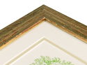 30mm 'Portobello' Bright Green Frame Moulding