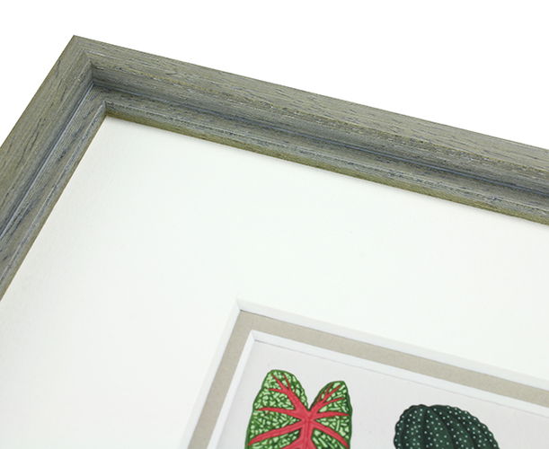 13mm 'Lily' Grey Lime Wash Frame Moulding