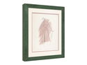 28mm 'Paysan' Forest Green Frame Moulding