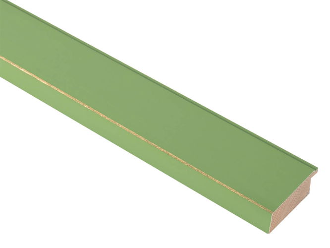 48mm 'Palette' Apple Green with Gold Frame Moulding