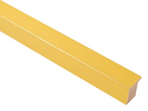 30mm 'Palette' Mustard Yellow with Gold Frame Moulding