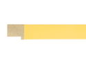 30mm 'Palette' Mustard Yellow with Gold Frame Moulding