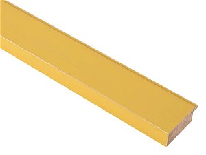 48mm 'Palette' Mustard Yellow with Gold Frame Moulding
