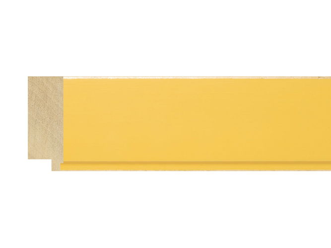 48mm 'Palette' Mustard Yellow with Gold Frame Moulding