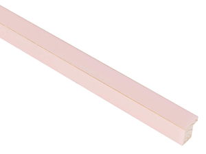 20mm 'Palette' Candy Floss Pink with Gold Frame Moulding