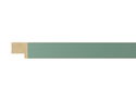 20mm 'Palette' Litchen Green with Gold Frame Moulding