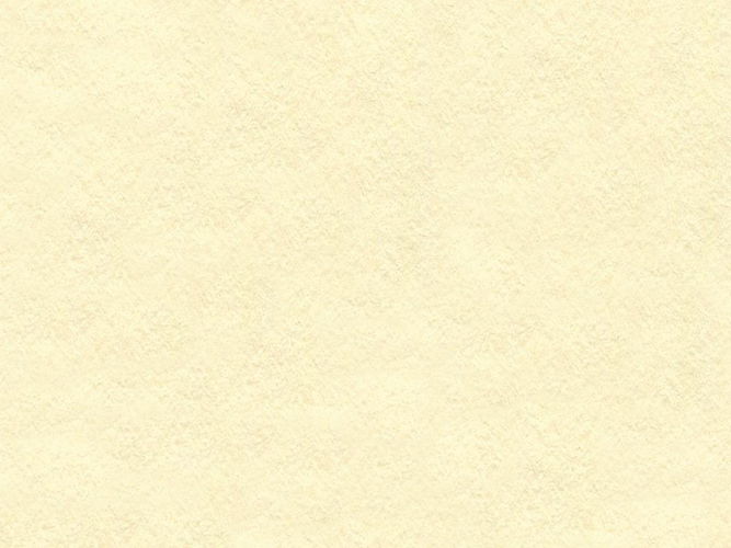 VALUE2 Pallet Jumbo Conservation Ivory 1.4mm Mountboard 500 sheets